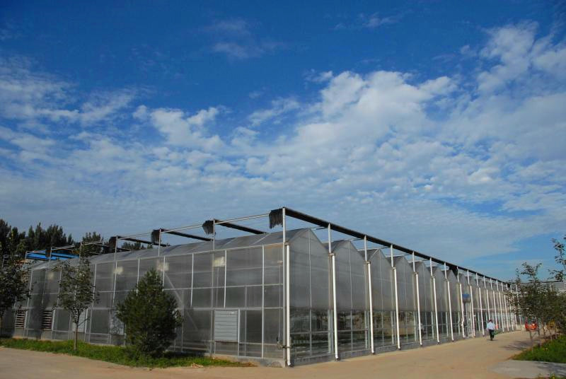 1616654505606102.jpg 1234121.jpg