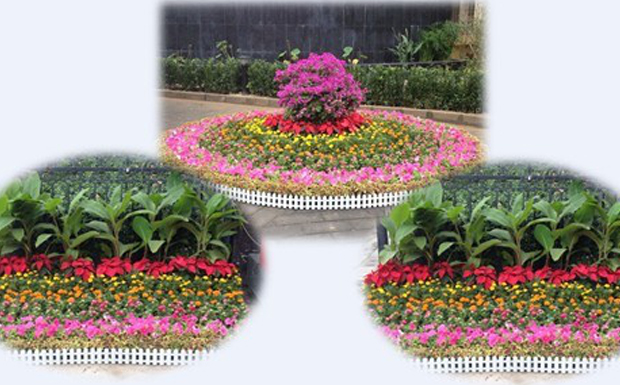 振興華龍人喜迎中秋、國(guó)慶雙節(jié)